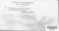 Image Associated With the Occurence
